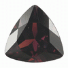 10 mm Trillion Shape Rhodolite Garnet AA Grade