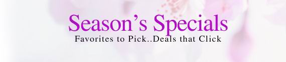 Valentines Day Specials