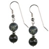 Agate Round Sterling Silver 10 mm Earrings