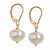 Cultured Grey Pearl Round 6-7 mm Sterling Silver Earrings